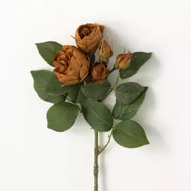 Antique Brown Blooming Roses