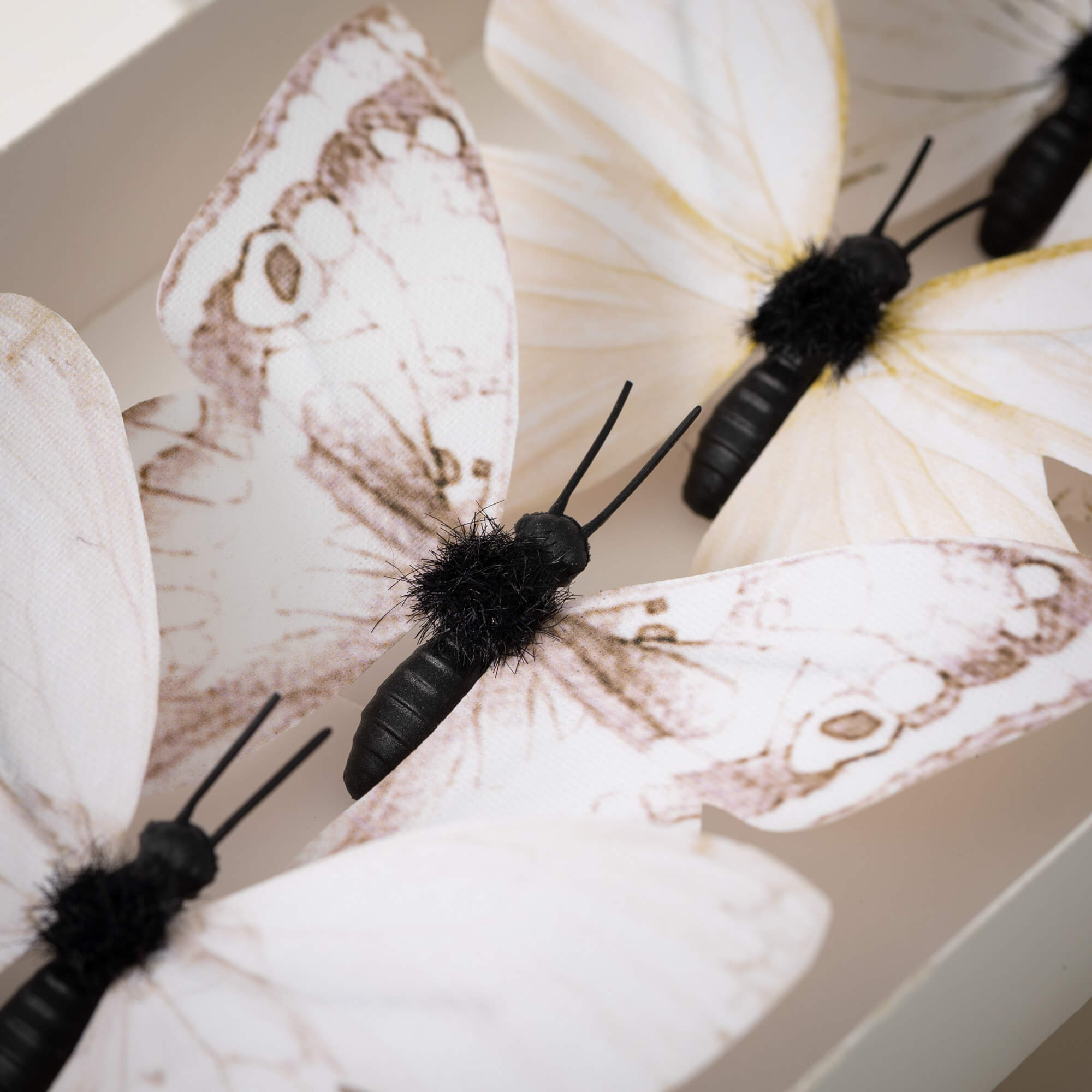 Creamy Butterfly Accents