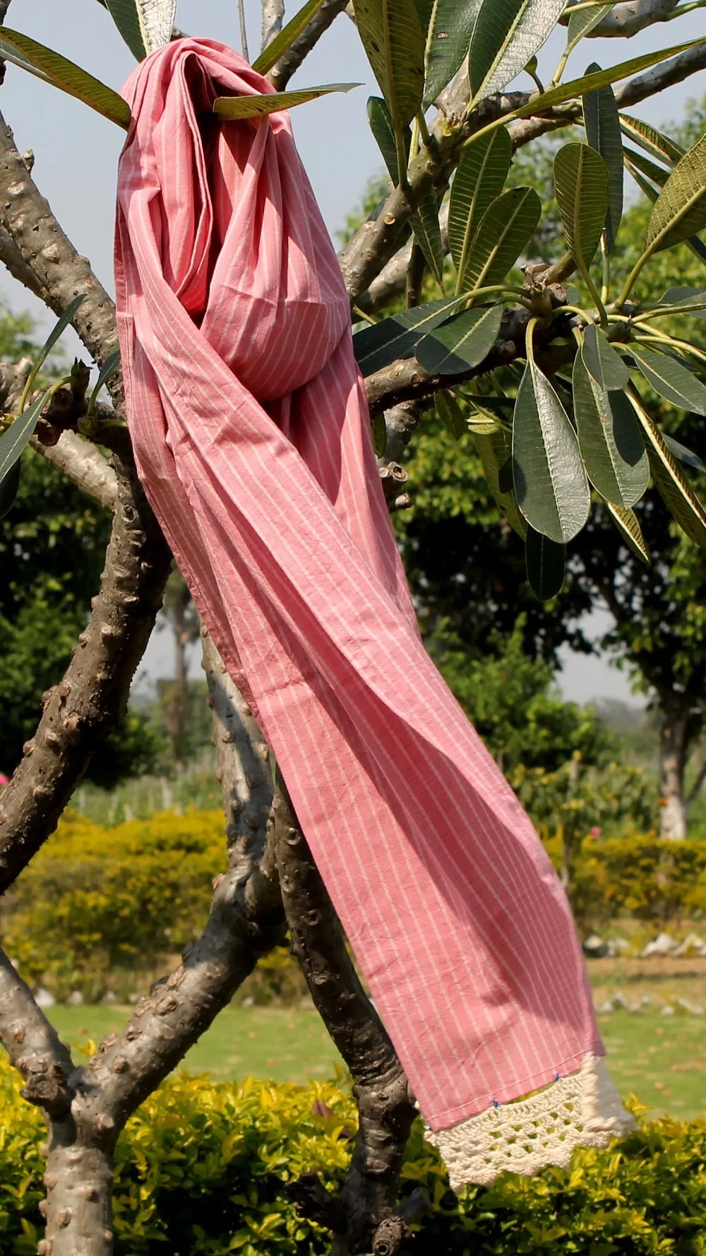 Pink striped stole